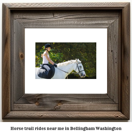 horse trail rides near me in Bellingham, Washington